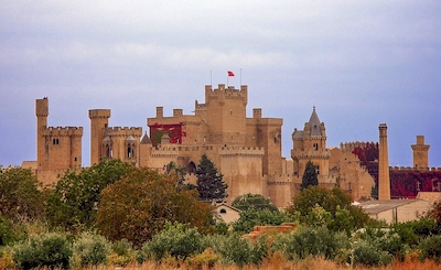 Castillo de Olite