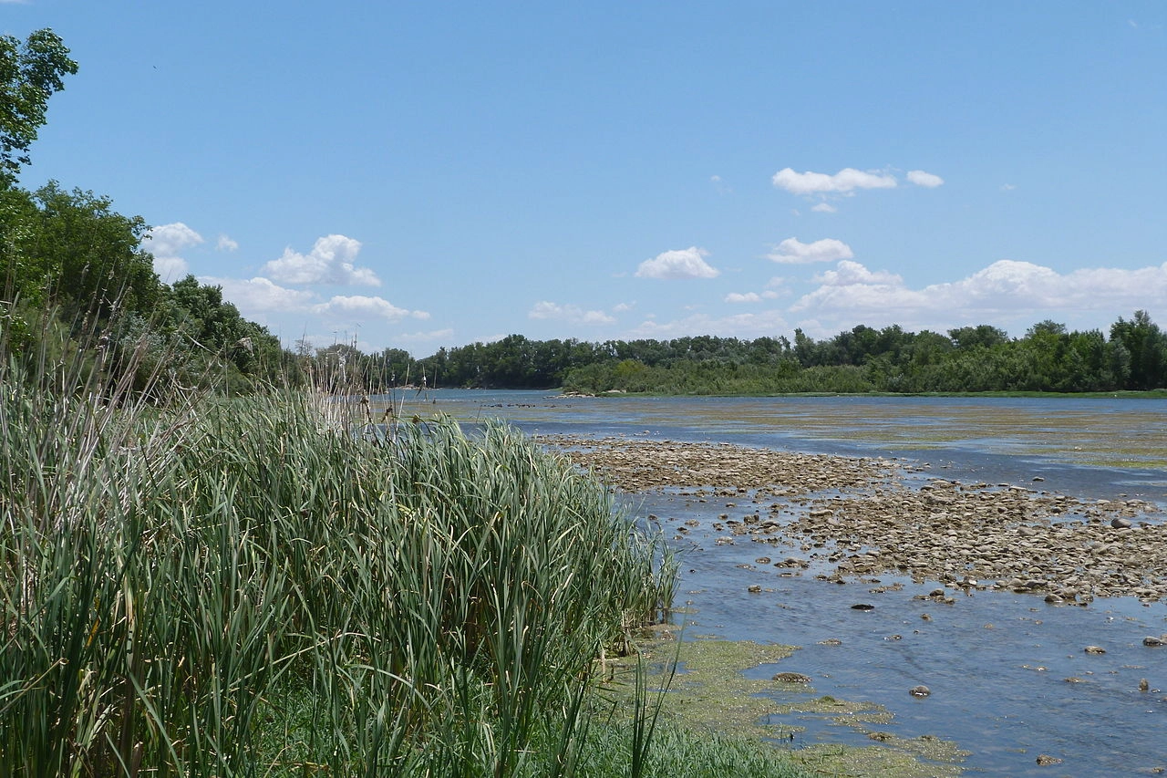 Sotos del Ebro